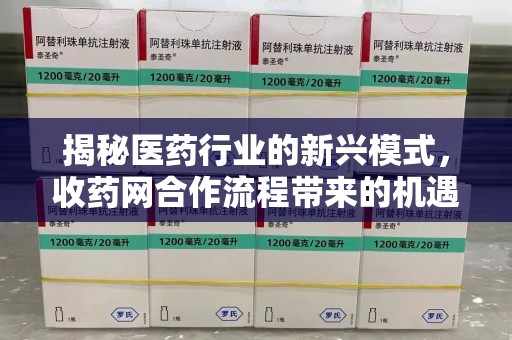 济南揭秘医药行业的新兴模式，收药网合作流程带来的机遇与挑战