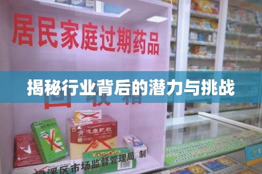 济南揭秘行业背后的潜力与挑战