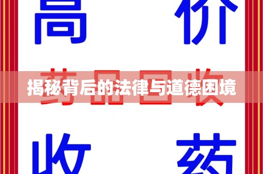 济南揭秘背后的法律与道德困境