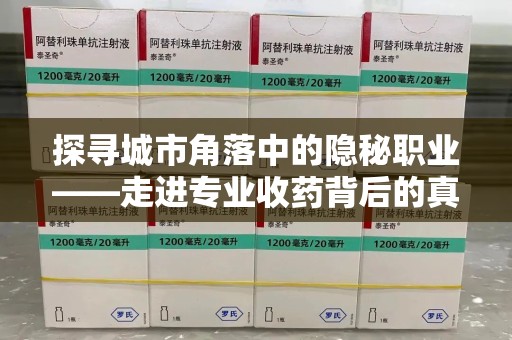 济南探寻城市角落中的隐秘职业——走进专业收药背后的真相