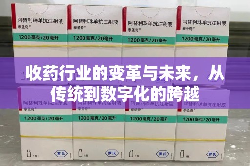 济南收药行业的变革与未来，从传统到数字化的跨越