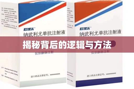 济南揭秘背后的逻辑与方法