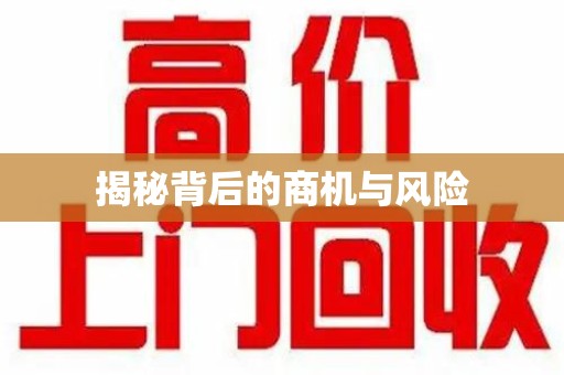 济南揭秘背后的商机与风险